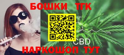 МДПВ Будённовск