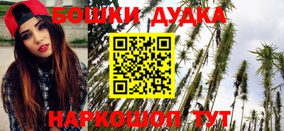 МДПВ Будённовск