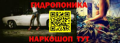 МДПВ Будённовск