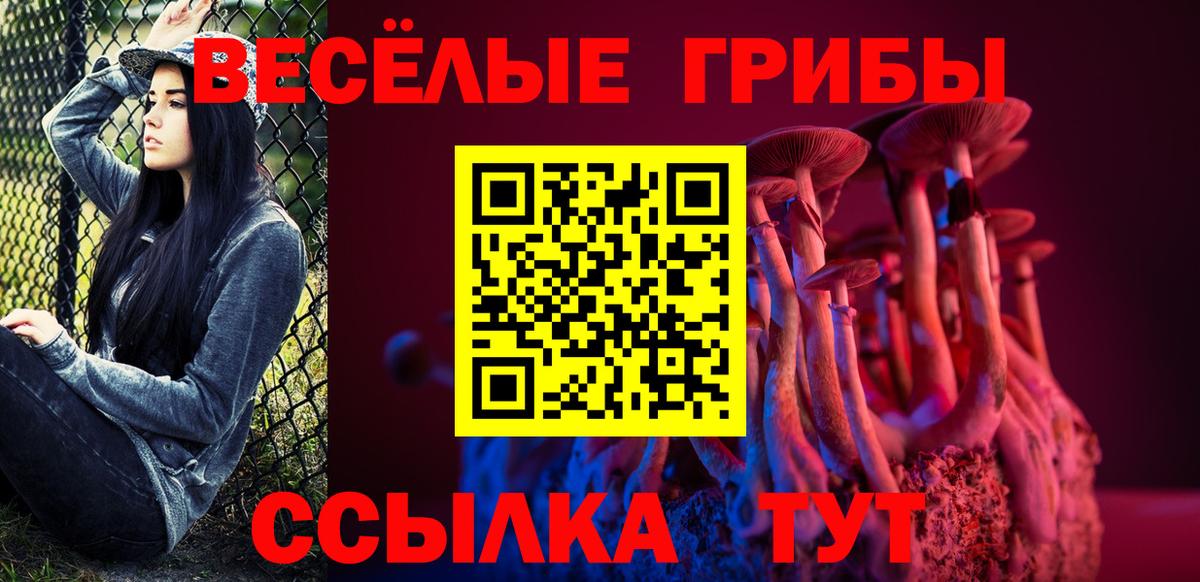 Псилоцибиновые грибы ЛСД Петровск