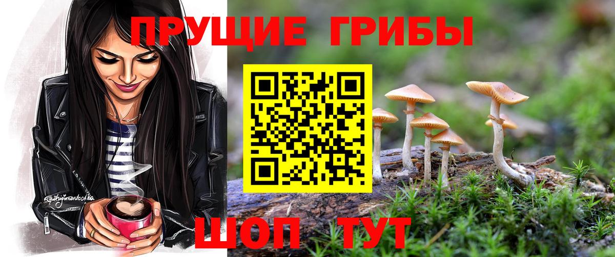 закладки  Галлюциногенные грибы мухоморы  Вход с VPN  Псилоцибиновые грибы Psilocybe  Петровск 